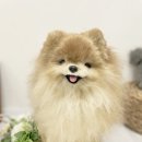 어도어유 이미지