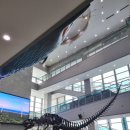 서대문자연사박물관 이미지