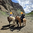 제주도 고비 | 몽골 사막투어 4박5일 리얼후기｜골든고비 고비사막 일정 총정리