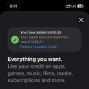 춘덕 | 지쳐버린 11월 중순의 일상 (단풍고양이, 뉴베리니팅장갑, 도시락, 강남직장인, 헬스)