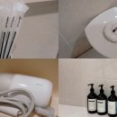 스테이써니 이미지