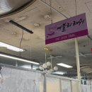 수예블리 이미지