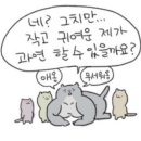 먼치스 이미지