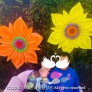 미대농장 이미지