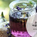 테라피하라
