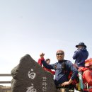 호텔아로하 이미지