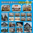 왓포체형관리 이미지