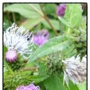 영운농장 이미지