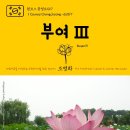 외산면 무진암 공중화장실 | 원코스 충청도017 부여Ⅲ 대한민국을 여행하는 히치하이 - 1 Course Chungcheong-do017 BuyeoⅢ The Hi