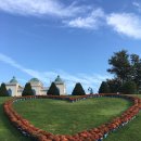 임실꽃화원 이미지