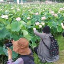 칠원군립도서관 시청각실 이미지