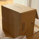 개편한집 | 편한 사무 의자 추천 가성비 좋은 체어스코 내돈내산 한 달 사용 후기