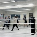 일도복싱 이미지