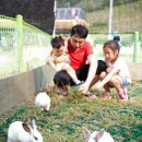 작은동물원 이미지