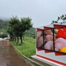 욕지도서관 이미지