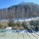 루체펜션 이미지