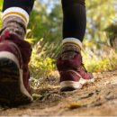 속리산둘레길 순환구간 이미지