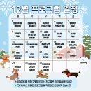 해뜨는유치원 이미지