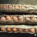 계란한꾸러미 이미지
