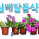 7번가왕족발 이미지
