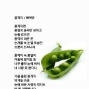 콩깍지 이미지