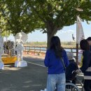 넌버벌아트 마술 이미지