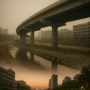 그늘과 빛의 기억  이미지