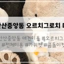 오르치그로치 이미지