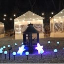 온별천지 이미지