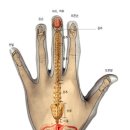 수지침 혈자리 및 기초 이미지
