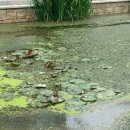 우시장천 이미지