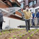 텃밭2