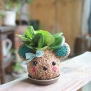 강원평생교육정보관(춘천교육문화관) 이미지