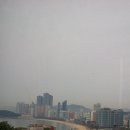 ADELA(아델라) 이미지