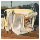 껌딱지펫 | 중형견과 함께 제주도 2주 여행기 2편 - 목포에서 제주, 퀸제누비아2 펫스위트룸