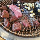 선일화원 | 과천/평촌/의왕 정육 고기 맛집 &amp; 분위기 넘치는 식물카페 선일목장