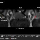 두암동물병원 이미지