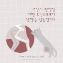 더클래스동물메디컬센터 이미지