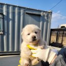 상모로-10 이미지