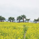 산방산 머물다 이미지