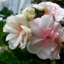 버거웍스 이미지