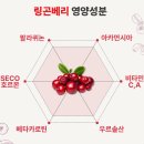 피플스컴퍼니 | 야무지게! 피플스텔라 링곤베리 퓨레 글루타치온 로즈힙 퓨레 엘라스틴 구매후기 및 효능, 섭취안내까지!