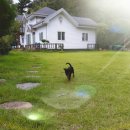 산마루펜션 이미지