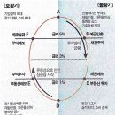 코스톨라니 달걀모형 이미지