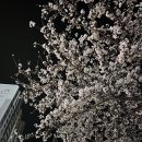 서밋정육식당 이미지