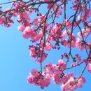 오송역유명공인중개사사무소 이미지