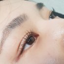 엘속눈썹 이미지