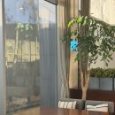 호텔 선샤인 뷔페 이미지