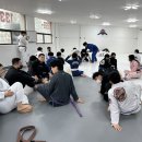 팀루츠주짓수