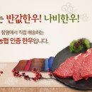나비한우